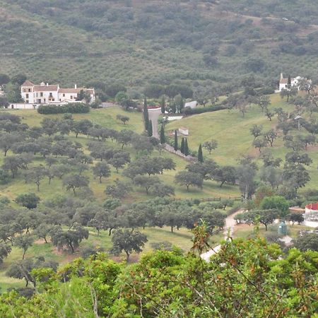 La Rejaquera Villa Villanueva del Rio y Minas Eksteriør bilde