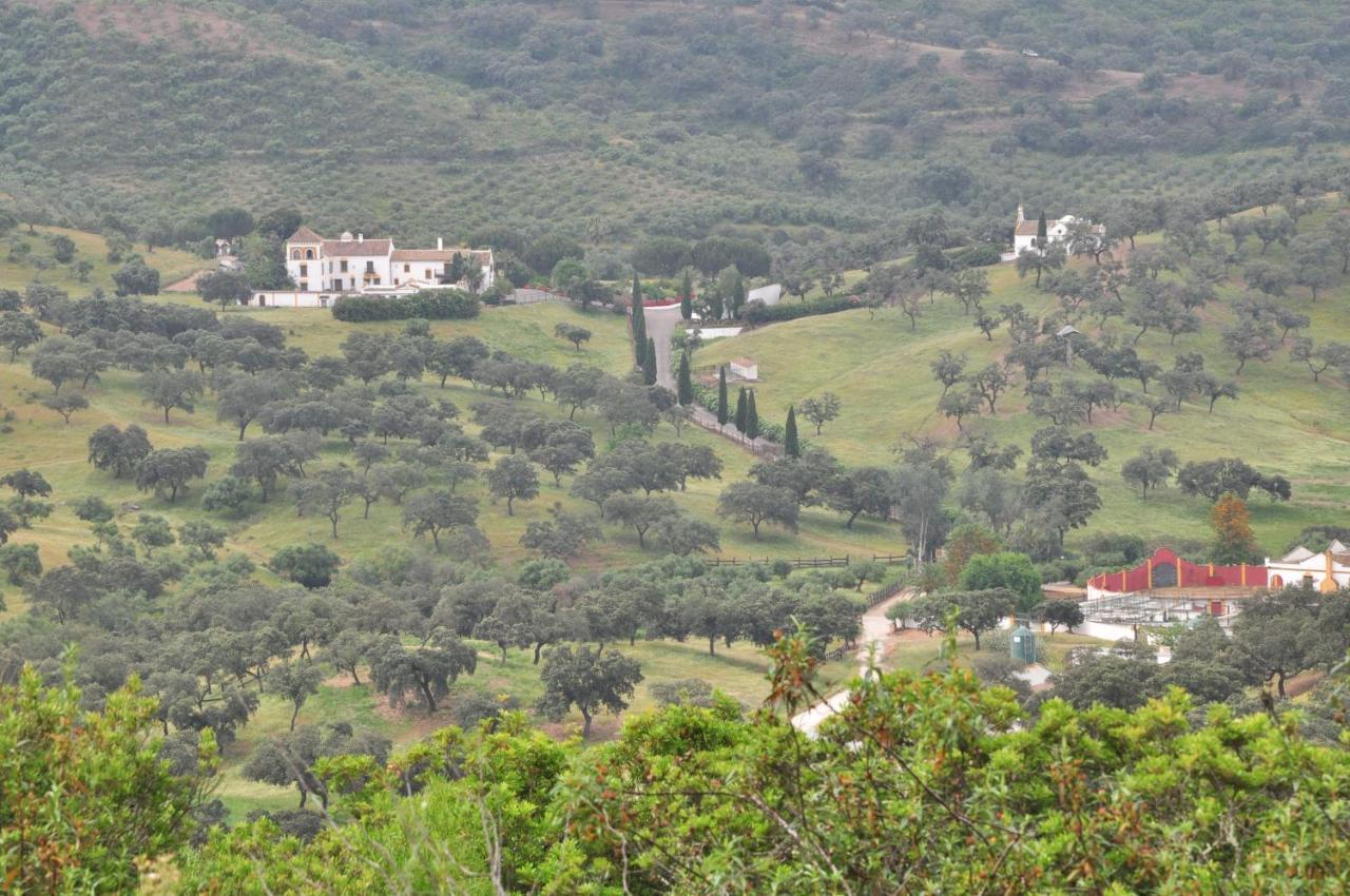 La Rejaquera Villa Villanueva del Rio y Minas Eksteriør bilde